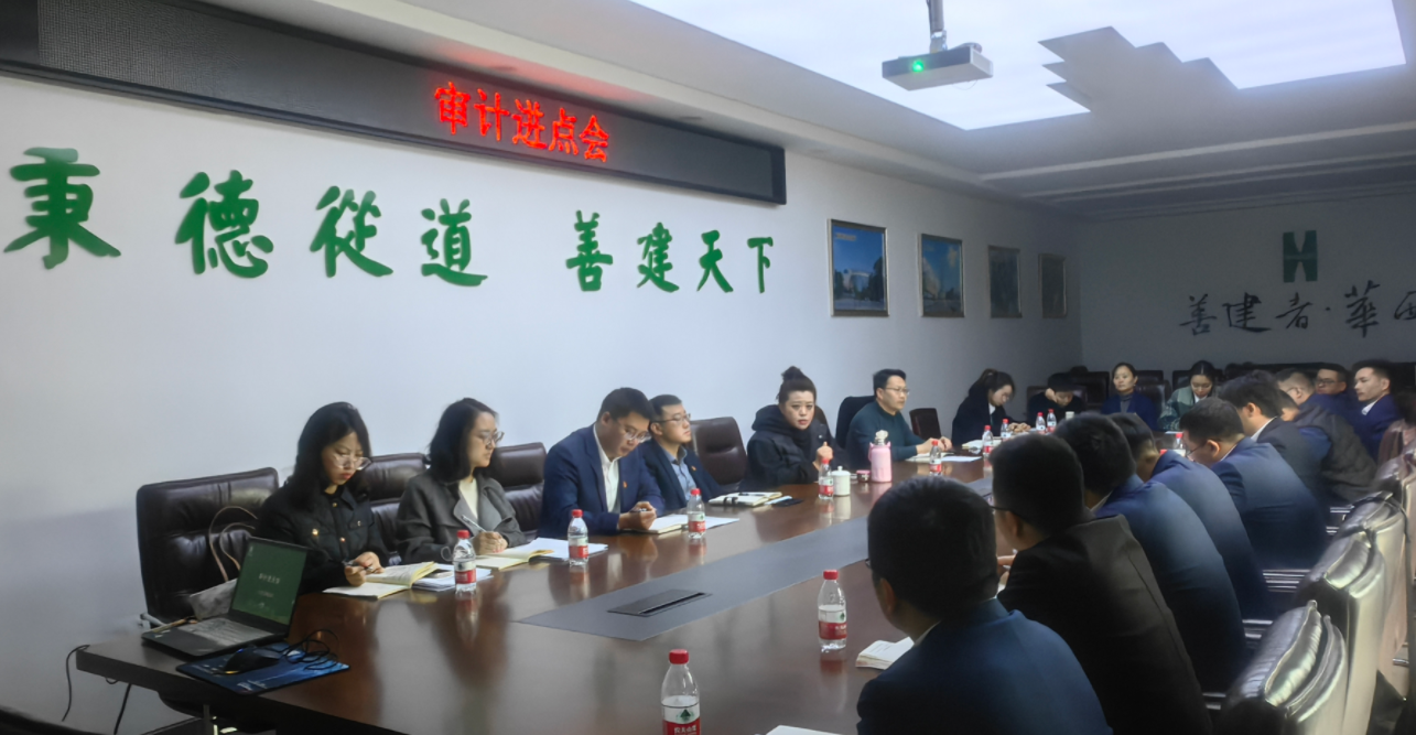 公司黨委委員、紀委書記付曉一行到綿陽青義項目督導(dǎo)復(fù)工復(fù)產(chǎn)工作